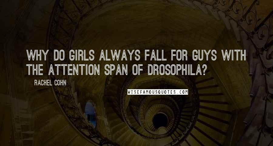 Rachel Cohn Quotes: Why do girls always fall for guys with the attention span of drosophila?