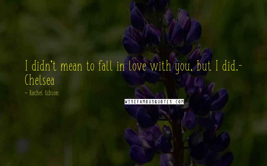 Rachel Gibson Quotes: I didn't mean to fall in love with you, but I did.- Chelsea