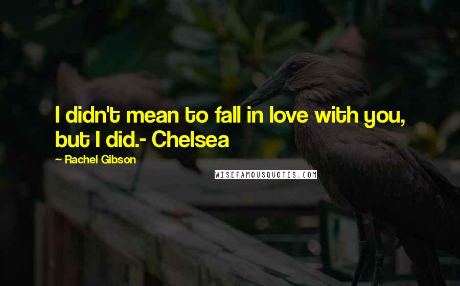 Rachel Gibson Quotes: I didn't mean to fall in love with you, but I did.- Chelsea