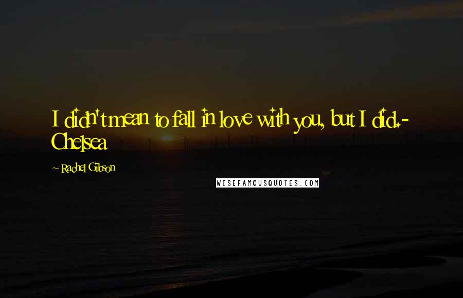 Rachel Gibson Quotes: I didn't mean to fall in love with you, but I did.- Chelsea