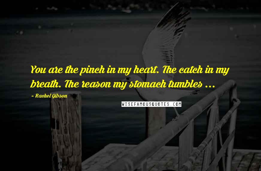 Rachel Gibson Quotes: You are the pinch in my heart. The catch in my breath. The reason my stomach tumbles ...
