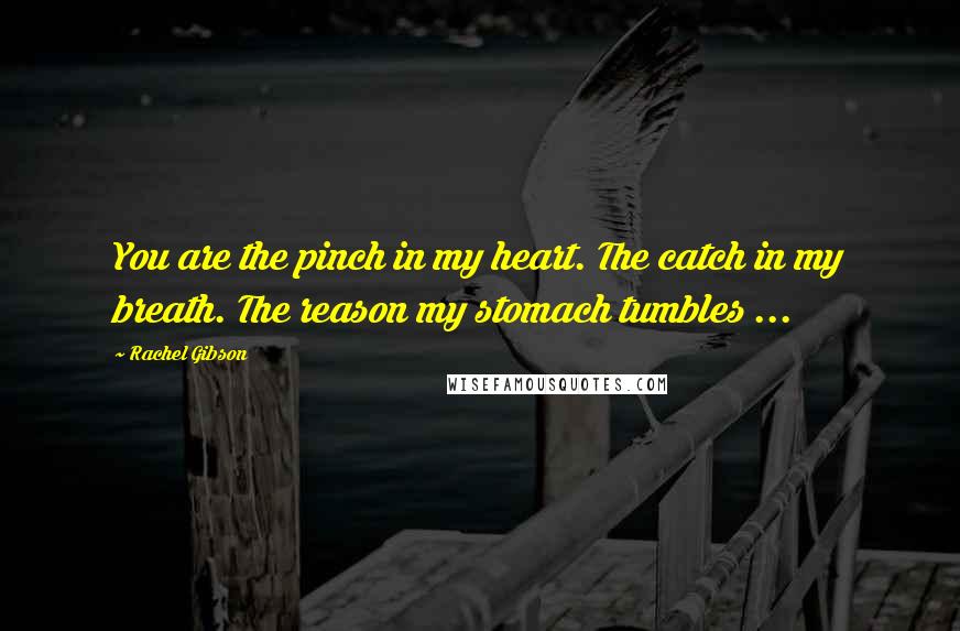 Rachel Gibson Quotes: You are the pinch in my heart. The catch in my breath. The reason my stomach tumbles ...