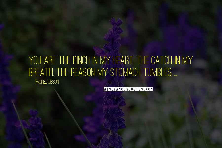 Rachel Gibson Quotes: You are the pinch in my heart. The catch in my breath. The reason my stomach tumbles ...