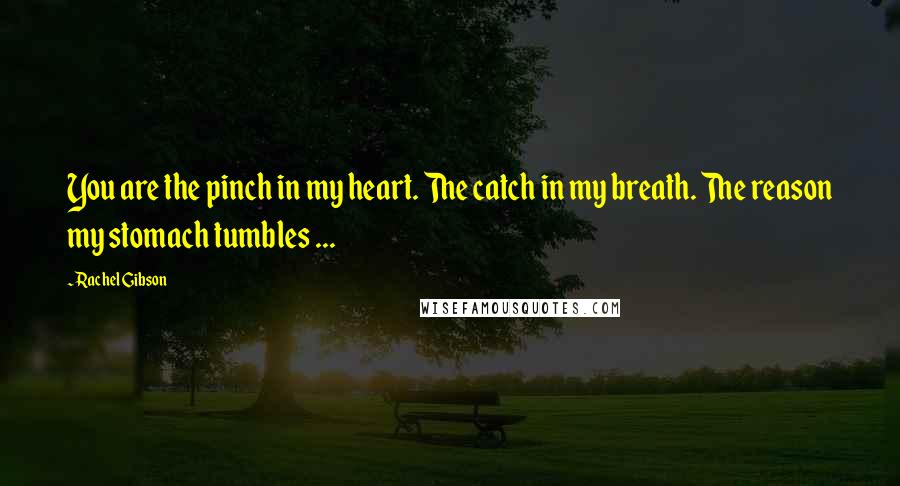 Rachel Gibson Quotes: You are the pinch in my heart. The catch in my breath. The reason my stomach tumbles ...