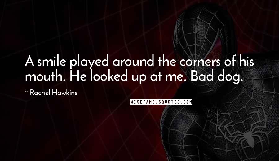 Rachel Hawkins Quotes: A smile played around the corners of his mouth. He looked up at me. Bad dog.