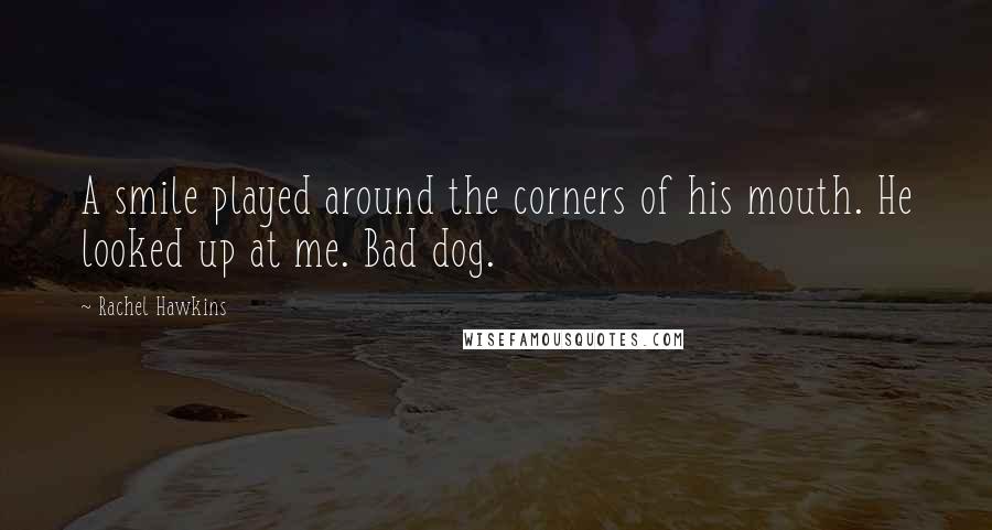 Rachel Hawkins Quotes: A smile played around the corners of his mouth. He looked up at me. Bad dog.