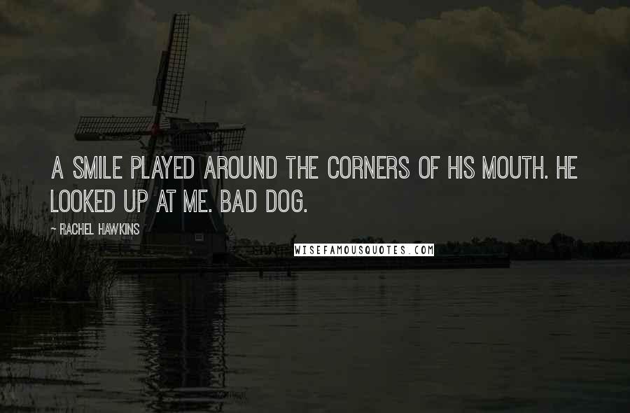 Rachel Hawkins Quotes: A smile played around the corners of his mouth. He looked up at me. Bad dog.