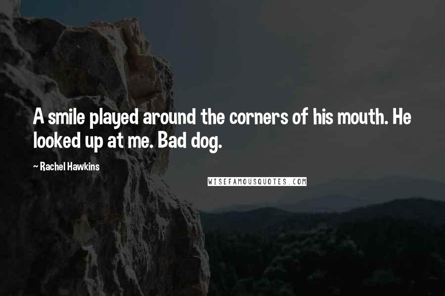 Rachel Hawkins Quotes: A smile played around the corners of his mouth. He looked up at me. Bad dog.