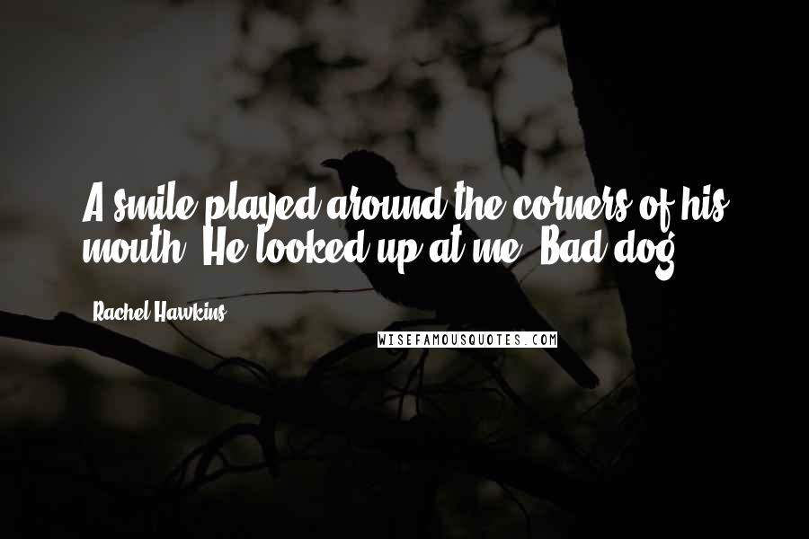 Rachel Hawkins Quotes: A smile played around the corners of his mouth. He looked up at me. Bad dog.