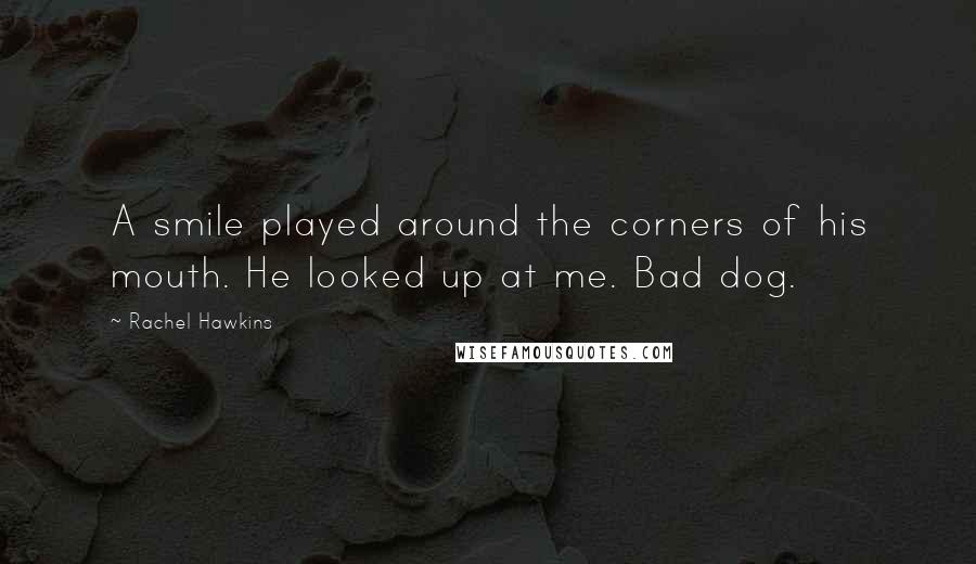 Rachel Hawkins Quotes: A smile played around the corners of his mouth. He looked up at me. Bad dog.