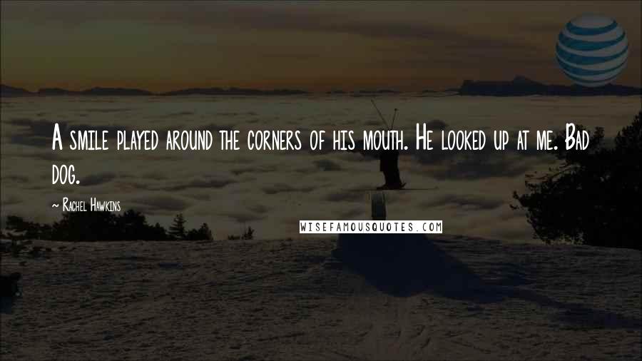 Rachel Hawkins Quotes: A smile played around the corners of his mouth. He looked up at me. Bad dog.