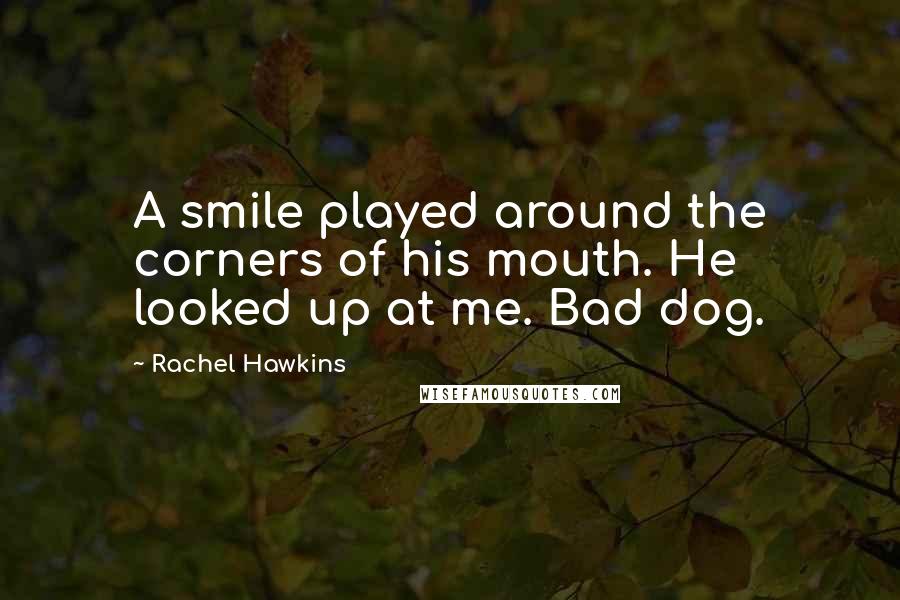 Rachel Hawkins Quotes: A smile played around the corners of his mouth. He looked up at me. Bad dog.