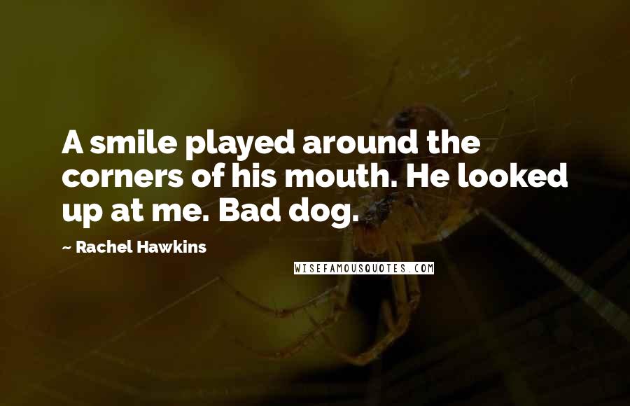 Rachel Hawkins Quotes: A smile played around the corners of his mouth. He looked up at me. Bad dog.