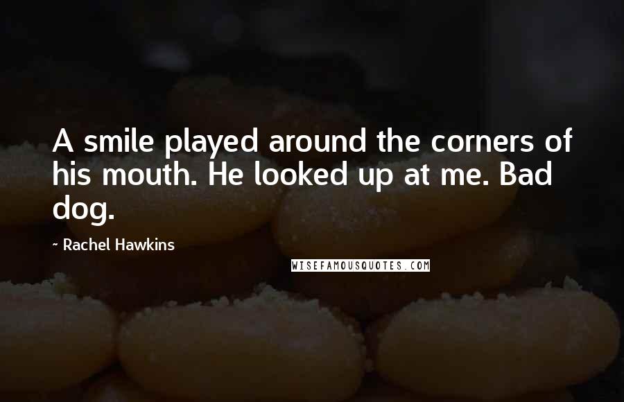 Rachel Hawkins Quotes: A smile played around the corners of his mouth. He looked up at me. Bad dog.