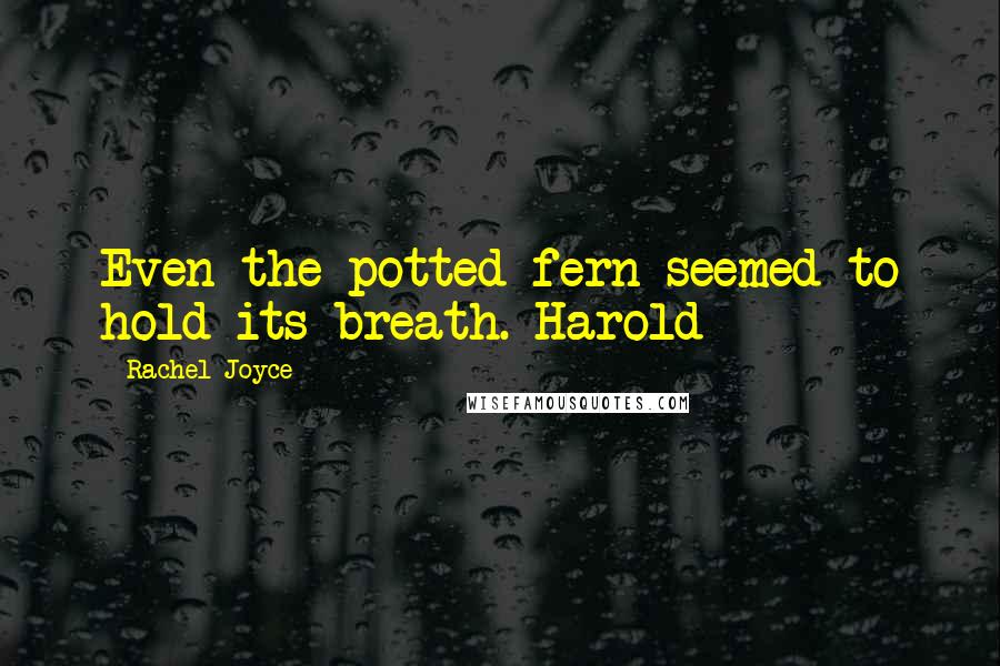 Rachel Joyce Quotes: Even the potted fern seemed to hold its breath. Harold