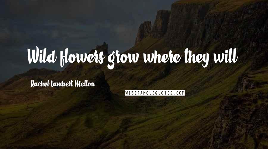 Rachel Lambert Mellon Quotes: Wild flowers grow where they will.