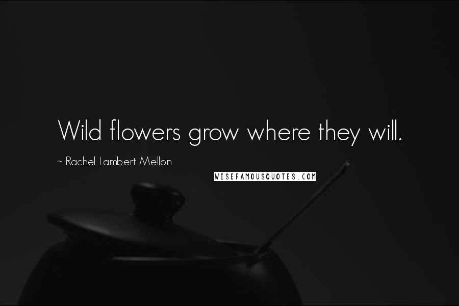 Rachel Lambert Mellon Quotes: Wild flowers grow where they will.