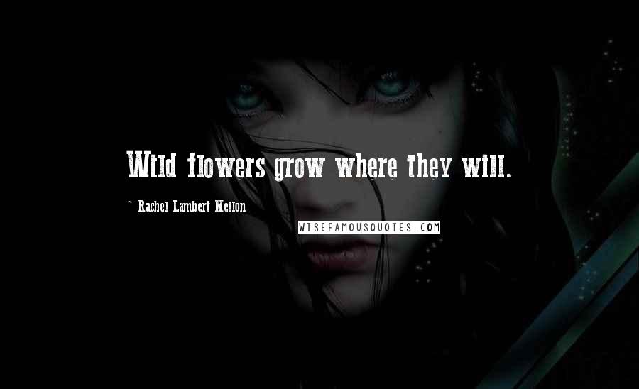 Rachel Lambert Mellon Quotes: Wild flowers grow where they will.