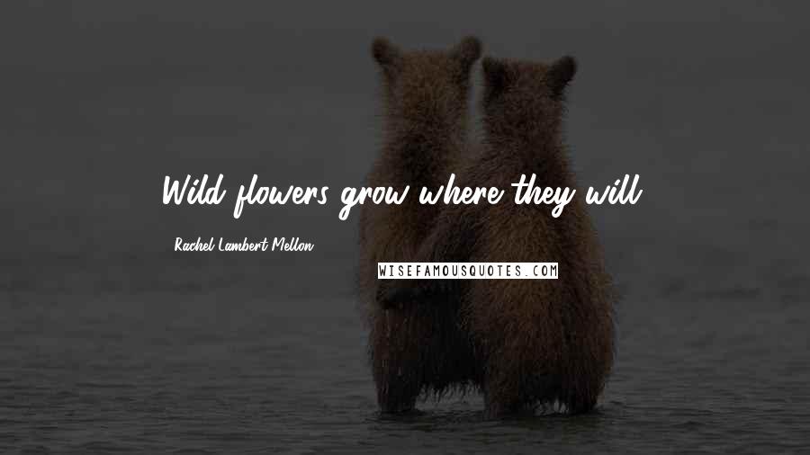 Rachel Lambert Mellon Quotes: Wild flowers grow where they will.