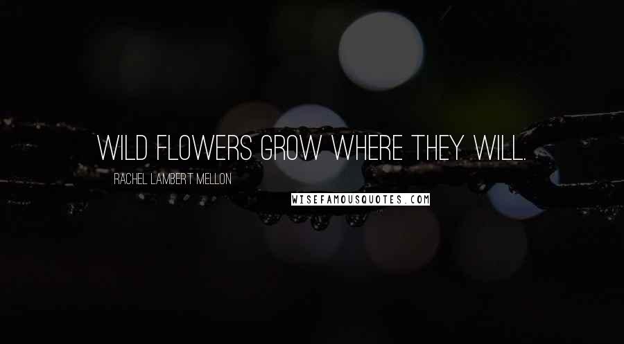 Rachel Lambert Mellon Quotes: Wild flowers grow where they will.