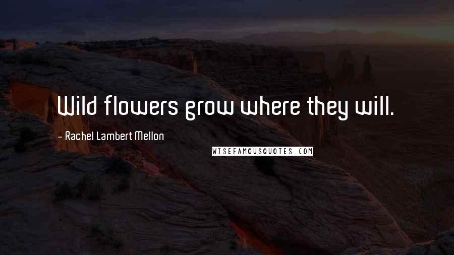 Rachel Lambert Mellon Quotes: Wild flowers grow where they will.