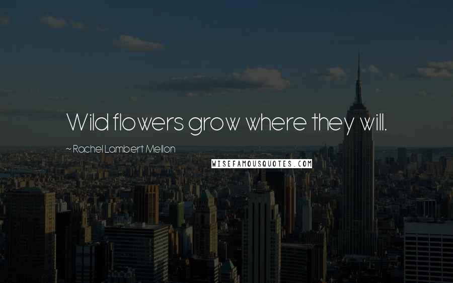 Rachel Lambert Mellon Quotes: Wild flowers grow where they will.