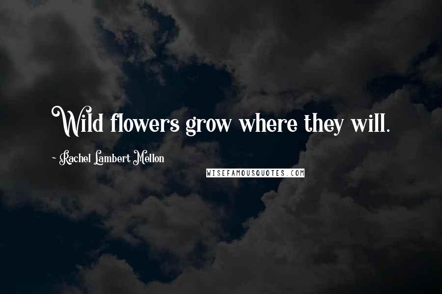 Rachel Lambert Mellon Quotes: Wild flowers grow where they will.