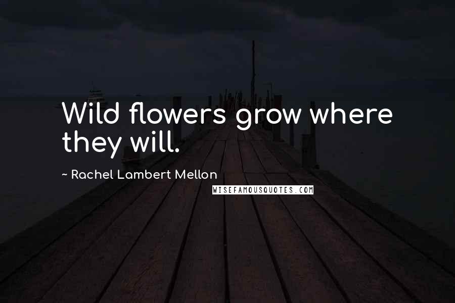 Rachel Lambert Mellon Quotes: Wild flowers grow where they will.