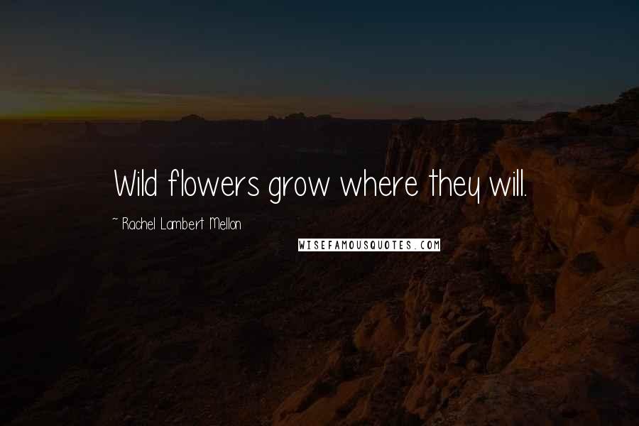 Rachel Lambert Mellon Quotes: Wild flowers grow where they will.