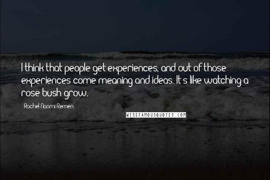 Rachel Naomi Remen Quotes: I think that people get experiences, and out of those experiences come meaning and ideas. It's like watching a rose bush grow.