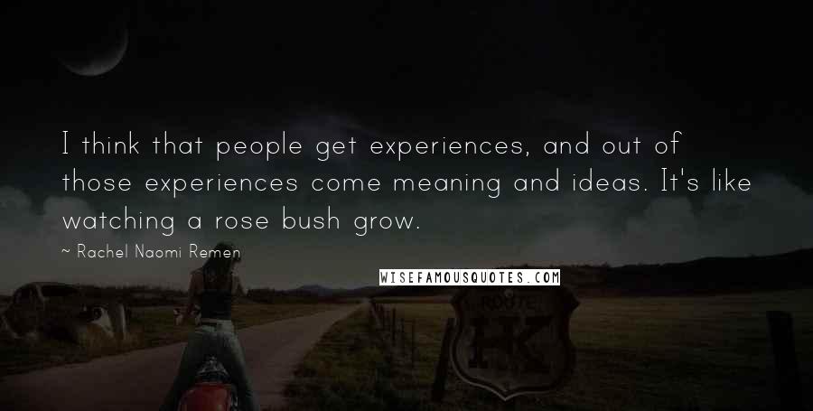 Rachel Naomi Remen Quotes: I think that people get experiences, and out of those experiences come meaning and ideas. It's like watching a rose bush grow.