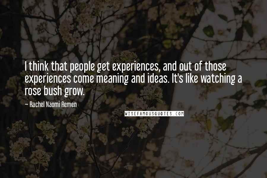 Rachel Naomi Remen Quotes: I think that people get experiences, and out of those experiences come meaning and ideas. It's like watching a rose bush grow.