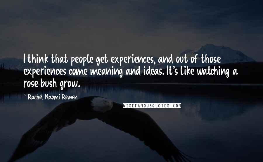 Rachel Naomi Remen Quotes: I think that people get experiences, and out of those experiences come meaning and ideas. It's like watching a rose bush grow.