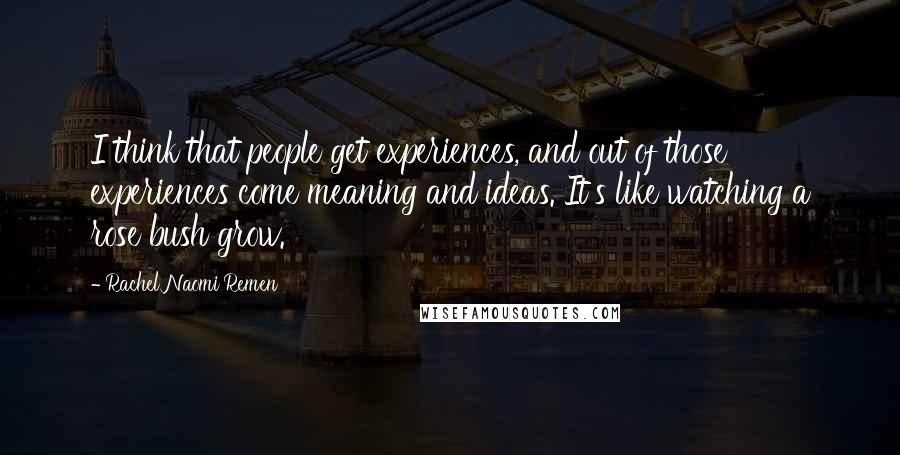 Rachel Naomi Remen Quotes: I think that people get experiences, and out of those experiences come meaning and ideas. It's like watching a rose bush grow.