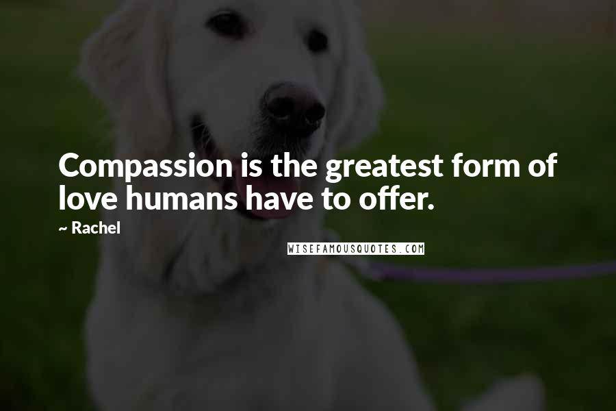 Rachel Quotes: Compassion is the greatest form of love humans have to offer.