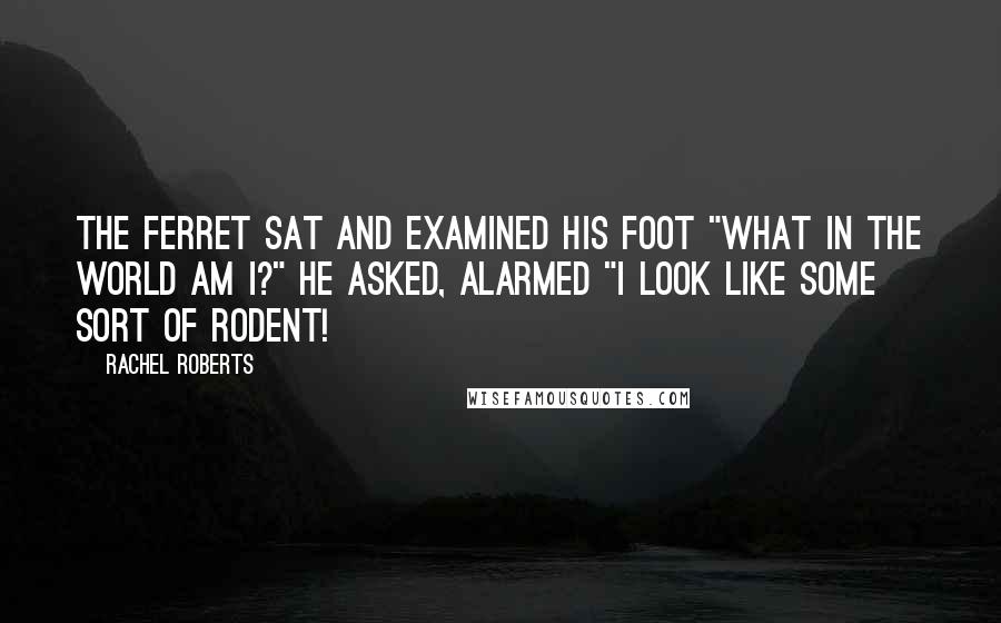 Rachel Roberts Quotes: The ferret sat and examined his foot "What in the world am I?" he asked, alarmed "I look like some sort of rodent!