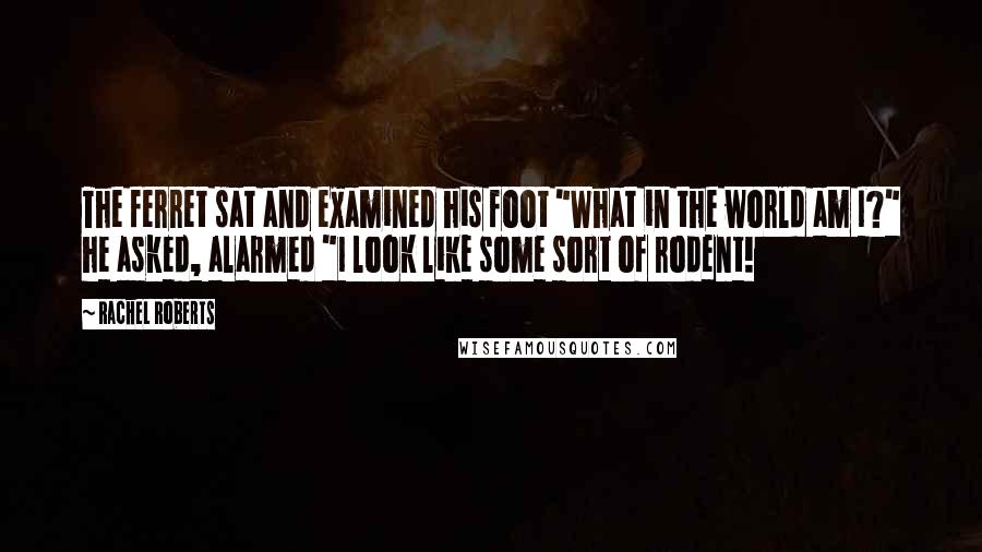 Rachel Roberts Quotes: The ferret sat and examined his foot "What in the world am I?" he asked, alarmed "I look like some sort of rodent!