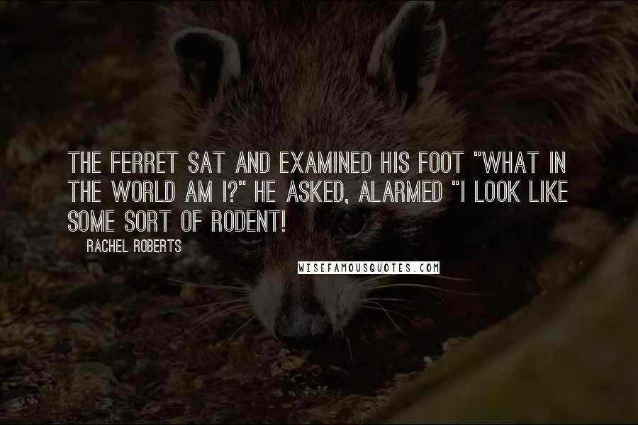 Rachel Roberts Quotes: The ferret sat and examined his foot "What in the world am I?" he asked, alarmed "I look like some sort of rodent!