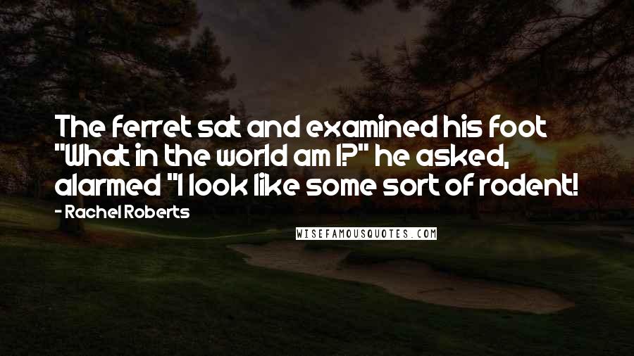 Rachel Roberts Quotes: The ferret sat and examined his foot "What in the world am I?" he asked, alarmed "I look like some sort of rodent!