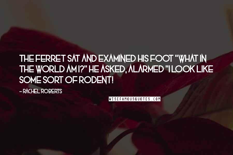 Rachel Roberts Quotes: The ferret sat and examined his foot "What in the world am I?" he asked, alarmed "I look like some sort of rodent!