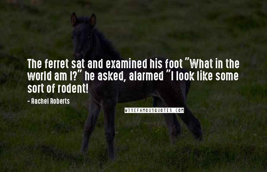 Rachel Roberts Quotes: The ferret sat and examined his foot "What in the world am I?" he asked, alarmed "I look like some sort of rodent!