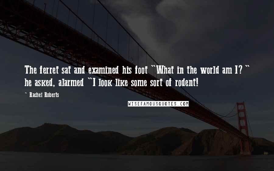 Rachel Roberts Quotes: The ferret sat and examined his foot "What in the world am I?" he asked, alarmed "I look like some sort of rodent!