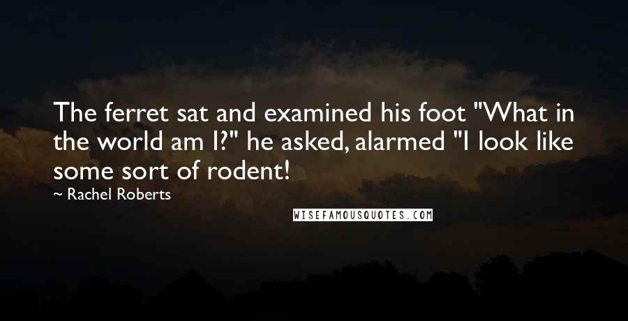 Rachel Roberts Quotes: The ferret sat and examined his foot "What in the world am I?" he asked, alarmed "I look like some sort of rodent!