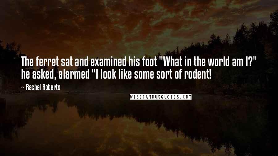 Rachel Roberts Quotes: The ferret sat and examined his foot "What in the world am I?" he asked, alarmed "I look like some sort of rodent!