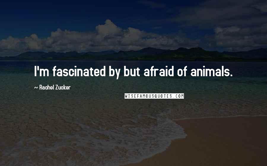 Rachel Zucker Quotes: I'm fascinated by but afraid of animals.