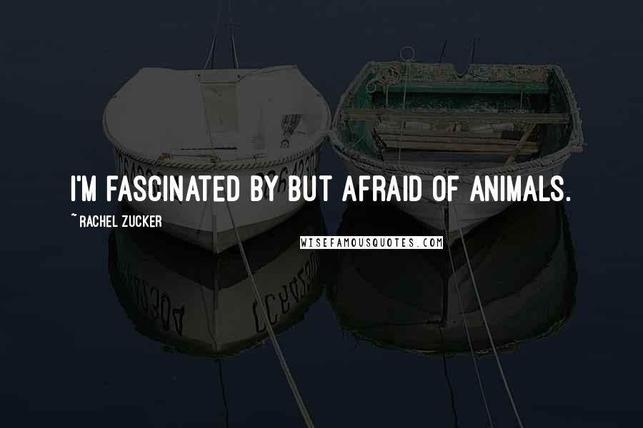 Rachel Zucker Quotes: I'm fascinated by but afraid of animals.