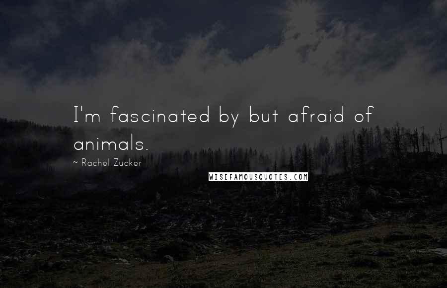 Rachel Zucker Quotes: I'm fascinated by but afraid of animals.