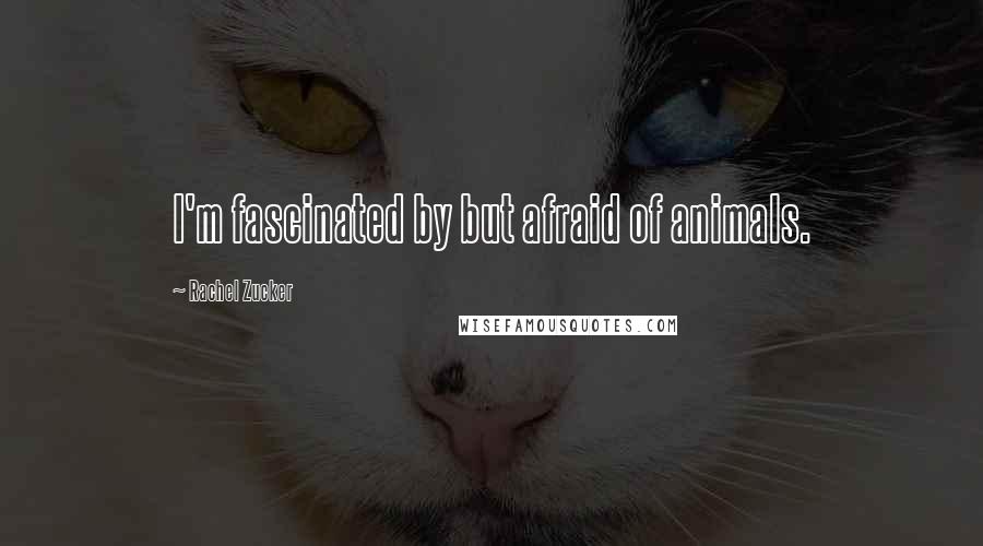 Rachel Zucker Quotes: I'm fascinated by but afraid of animals.