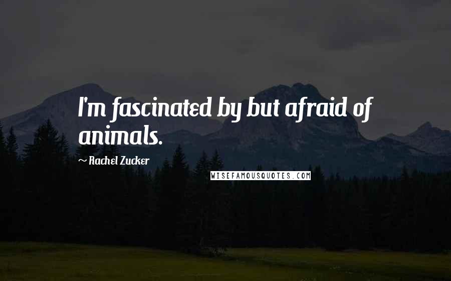 Rachel Zucker Quotes: I'm fascinated by but afraid of animals.