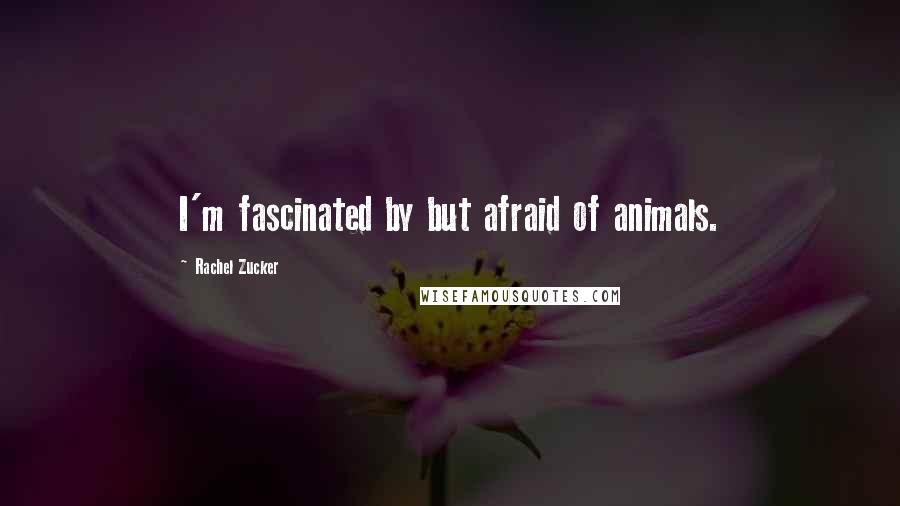 Rachel Zucker Quotes: I'm fascinated by but afraid of animals.